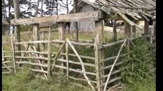 West Stow Anglo Saxon Village, June 1991