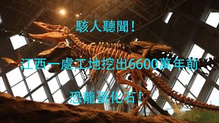 骇人听闻！江西一处工地挖出6600万年前恐龙蛋化石！