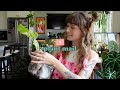 🌿💌 plant trade unboxing! (amazing wishlist plants in here)