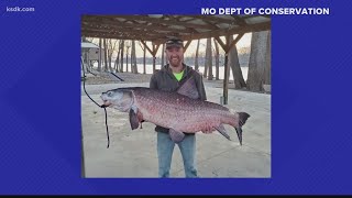 Osage County fisherman catches 112-pound invasive black carp