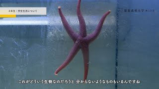 【4年生のみ】Keio University Science and Technology Life【理工学部生インタビュー】