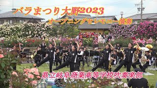 県立岐阜商業高等学校吹奏楽部♪大野バラまつりオープニングセレモニー演奏