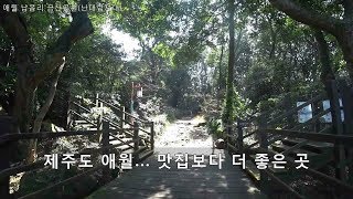 제주도 트레킹 애월 맛집보다 더 좋은 곳 금산공원