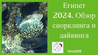 Египет 2024. Обзор снорклинга на Риф бич и Палма бич. Заповедник Рас Моххамед. Дайвинг. Голубая дыра