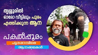 Thrissur pooram 2022 | തൃശ്ശൂരിൽ ഓരോ വീട്ടിലും പൂരം എത്തിക്കുന്ന ആന | Sreedevi | Sinoj Varghese