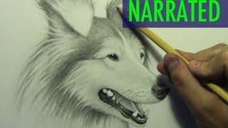How to Draw a Dog [Narrated Step by Step]
