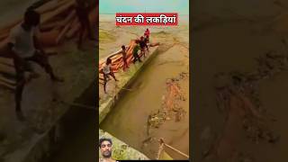 VERY 🫣Amezing River 💯🙀#viral #trending #ytshorts #youtubeshorts #shortsfeed #nature #shorts #short