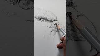 How to draw an Eagle face | Pencil drawing | Easy