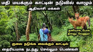 மதி மயக்கும் காட்டின் நடுவில் ஒரு ஆதிவாசி கிராமம் #westernghats #nature #travel #tribes #tamil