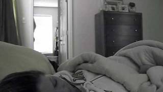 Kitty Cat Wake Up Call