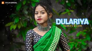 Dulariya New Santhali Lofi And Slowed x Reverb Songs Video 2024 @itslmofficial