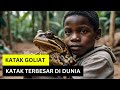 KATAK TERBESAR DI DUNIA!! TONTON SAMPAI HABIS.