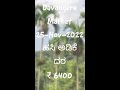 ಇಂದಿನ ದಾವಣಗೆರೆ ಹಸಿ ಅಡಿಕೆ ದರ davangere hasi adike market rate today adike 25 november 2022