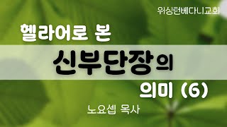 [주일설교] 헬라어로 본 신부단장의 의미 (6)