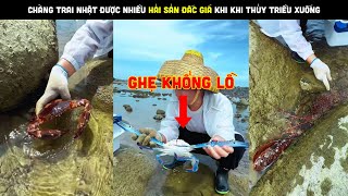 Chàng trai nhặt được nhiều hải sản đắc giá khi khi thủy triều xuống| Review bắt hải sản