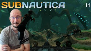 Seek Fluid Intake  | Subnautica | BLIND Playthrough | Episode 14