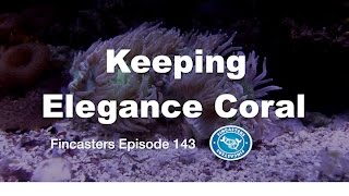 Keeping Elegance Coral Fincasters Episode 143