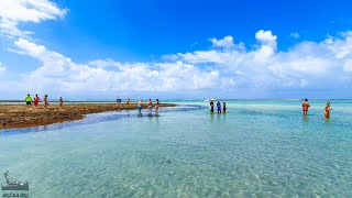 Maragogi Alagoas Maré 0.0 Dicas De Passeios 4k