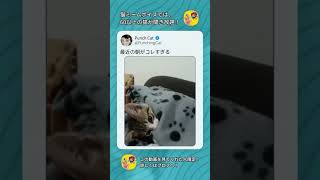 最近の朝がコレすぎる #Twitter #ツイッター #X #ツイート #大喜利 実はリアルに効果的最近の朝が草で爆笑する理由とは #Shorts