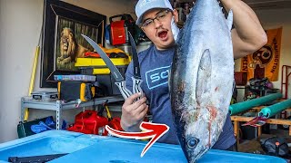 The EASIEST way to Clean a Tuna-Blackfin tuna