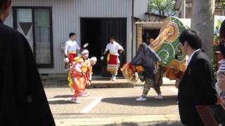 《下新町の獅子》富山県南砺市井波下新町　3/3【マグマの獅子】庄川系〈下流〉20160502IMG 6022