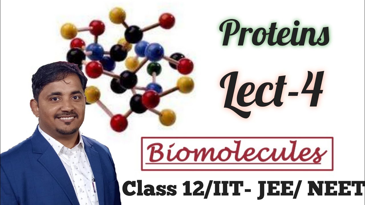 BIOMOLECULES - Lecture-04- Proteins# Class 12 - YouTube