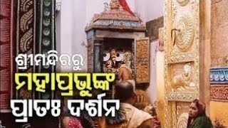 ଶ୍ରୀମନ୍ଦିର ସିଂହଦ୍ୱାର ଫିଟା ନୀତି || Srimandira Lions Gate Opening || 28.11.2024 || #thetodayodisha