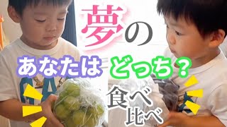 【大食い男児】ぶどう食べ比べ☆シャインマスカットVS種なしピュオーネ！どちらがお好み！？２歳５ヶ月