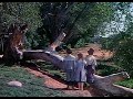 Disney's Song of The South (1946) Ending