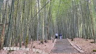 蟲鳴鳥叫的能通生態露營區｜鹿谷小半天挑竹古道｜親子草地營區｜露營兼走步道