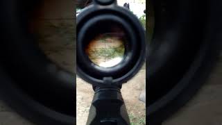 L96 (AWM) Dummy Scope inserted by Cheap Real Scope!😜😎😎 #ToyOnly