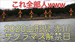 赤川のサクラマス解禁日に24時入りで行ってきたよ。2020サクラマス釣行記#１