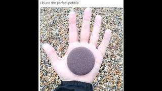 P-Ranking 1 Level A Day: Day 506