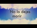 No Hay Cielo - Video Lyrics - Los Cedreños