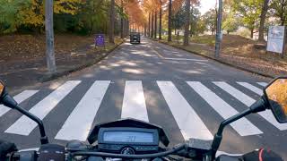 【4K】Late Autumn Drive around the University of Tsukuba, Japan