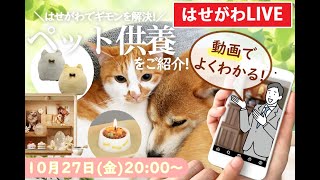 【ペット供養特集】お仏壇のはせがわが【ペット供養】について徹底解説します！20231027第14回