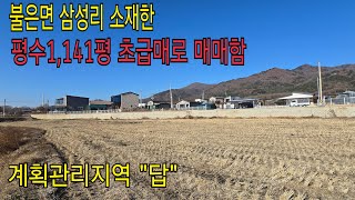 불은면 삼성리 토지 강화땅 강화토지 강화부동산 강화믿음부동산 강화군부동산 강화도 강화전원 강화전원주택 강화농가주택 강화급매물 양도면 농촌체류형쉼터