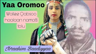 Best Oromo/Borana music 🎶 Ibraahim Baadiyyaa - Yaa Oromoo 🎶 @haddaartube4405