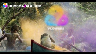 Flowers Logo Reveal - Powder