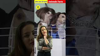 जानवरों से जुड़ी हैरान कर देने वाली बाते 😱 || Top 5 Amazing Facts About Animals || #shorts #facts