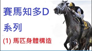 賽馬知多D系列 (1)    香港賽馬貼士 HONG KONG HORSE RACING TIPS