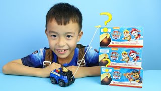 Paw Patrol 拆汪汪隊立大功奇趣蛋，居然都是蠟筆！