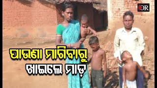 ଦାଦନ ସର୍ଦାରର ଦାଦାଗିରି | Kantabanjhi || Odisha Reporter