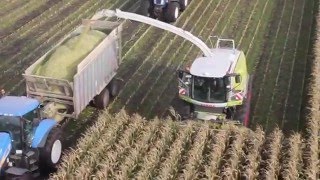 Corn harvest 2015 - Gads Maskinstation I/S