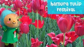 The most Incredible Japanese Tulip Festival!