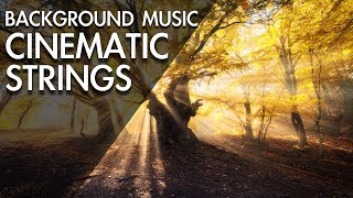 Emotional | e-soundtrax (Amazing & Beautiful Cinematic Background Music)