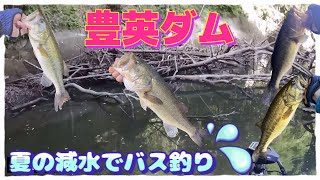 夏の豊英ダムを満喫‼️