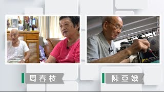 【草根菩提】20180913 - 有愛無礙＆城裡的鄉愁