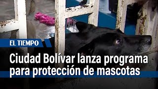 Alcaldía de Ciudad Bolívar lanza programa para el bienestar de mascotas | El Tiempo