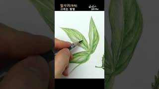 책갈피 속 나뭇잎 그리는 방법 | 작약 잎사귀 그리기 | Leaf (Leaves) Drawing